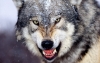 Обо Мне
